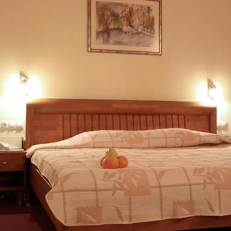 Lucky Light Boutique Hotel Velingrad